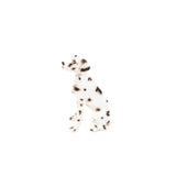 DALMATA