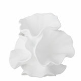 CORAL BRANCO