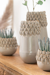 JARRA ACROPORA GREY