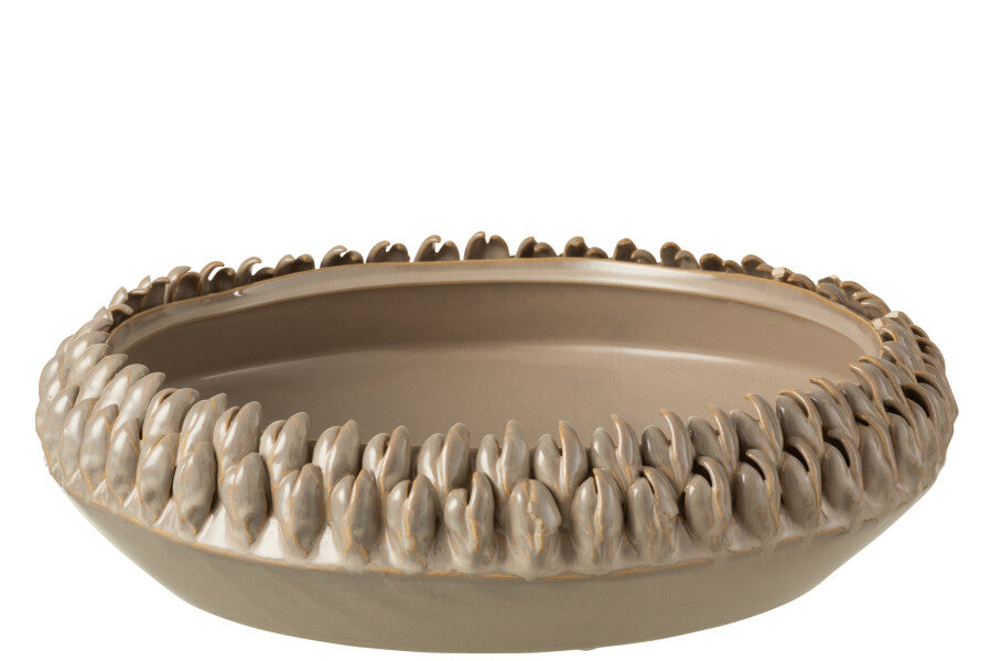 VASO ACROPORA GREY