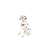 DALMATA BLACK