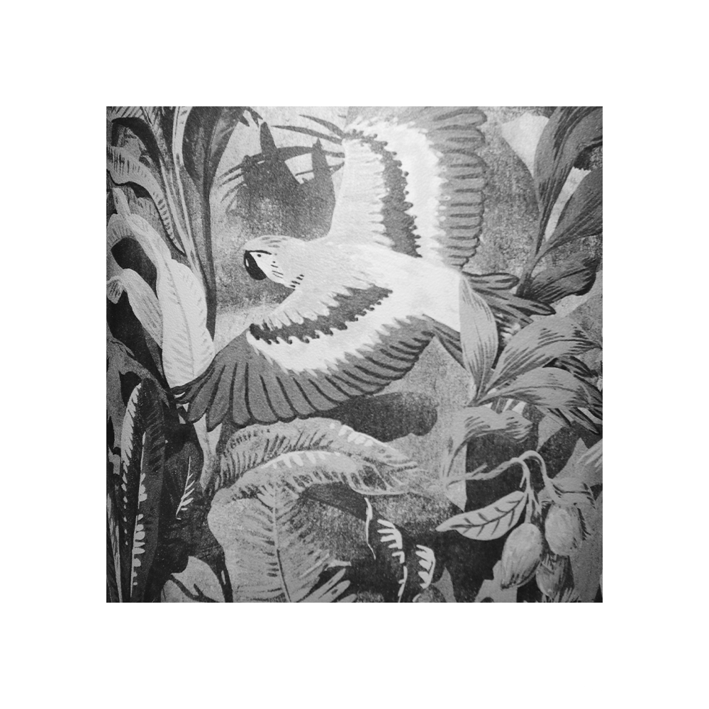 ABATJOUR AMAZONIA NOIR