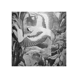 ABATJOUR AMAZONIA NOIR
