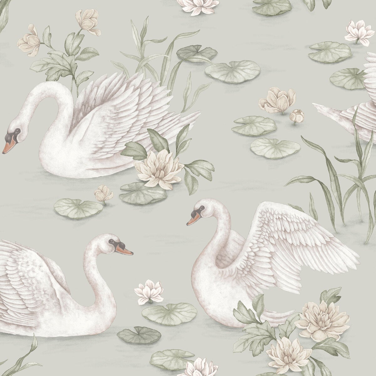 PAPEL DE PAREDE LILY SWAN