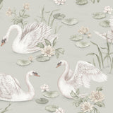 PAPEL DE PAREDE LILY SWAN
