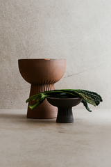 TAÇA FIRE