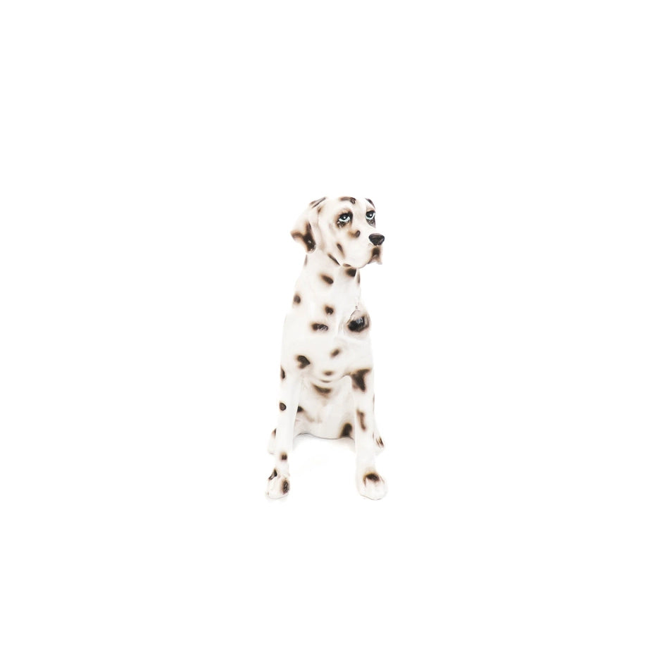 DALMATA