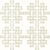 PAPEL DE PAREDE BOCA BAMBOO