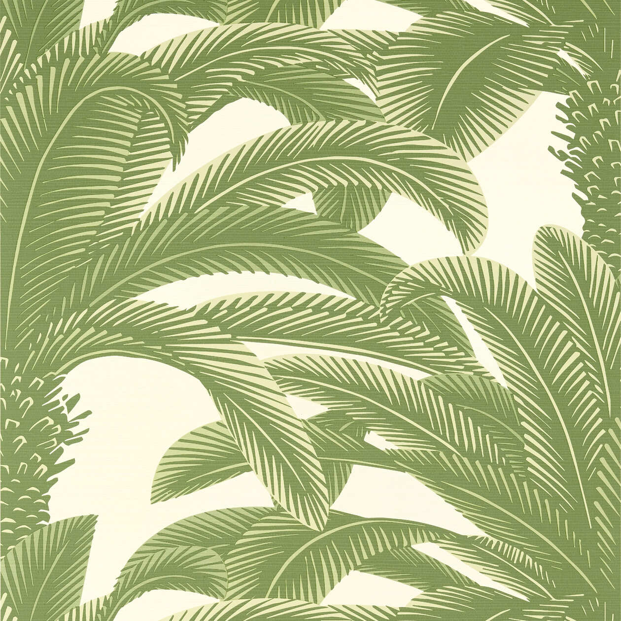 PAPEL DE PAREDE  QUEEN PALM