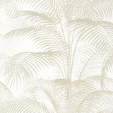 PAPEL DE PAREDE  DELRAY