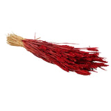 TRIGO VERMELHO