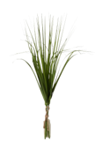 BUNDLE GRASS