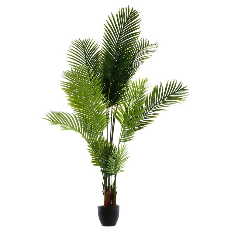 PLANTA PALMEIRA 170 CM
