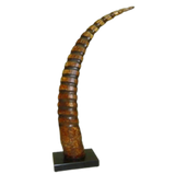 AFRICAN TOCAN