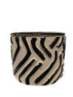 POTE ZEBRA