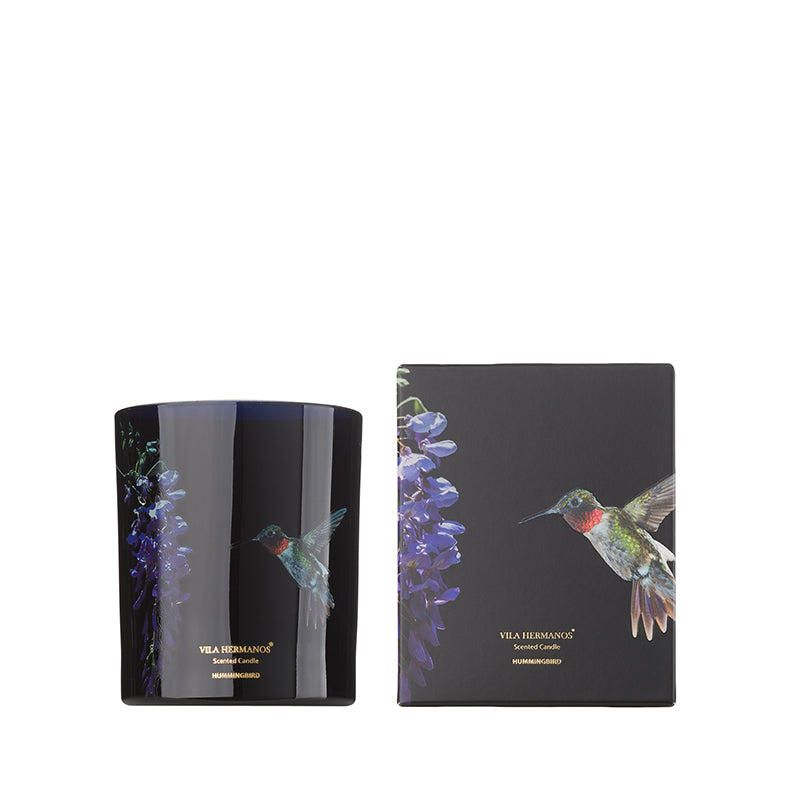 VELA HUMMINGBIRD